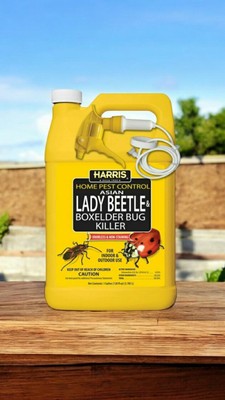 Harris Home Pest Control Insect Killer Liquid 1 gal Box Elder Asian Lady Beetle