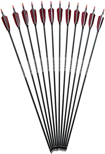 Evercatch 12x 30.5" CARBON ARROWS FEATHER RECURVE BOW HUNTING TARGET - Picture 4 of 4