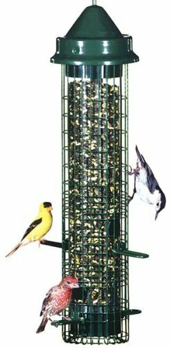 With 4 Feeding Ports, Green