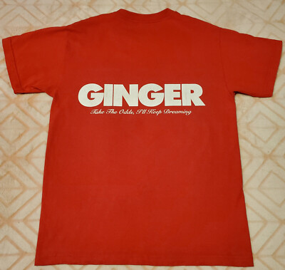 BROCKHAMPTON Records Ginger 2019 Heaven Belongs To You Tour T