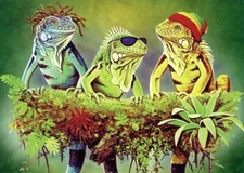 Rasta Iguanas - Tree Free Greeting Card - 10766