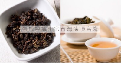 TenRen's TEA Taiwan Primium Dong Ding Oolong Tea 300g/ Tin