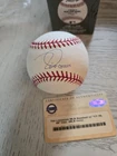 Tim Lincecum Autograph Inscription Cy"08 09" On Baseball Steiner Certificate