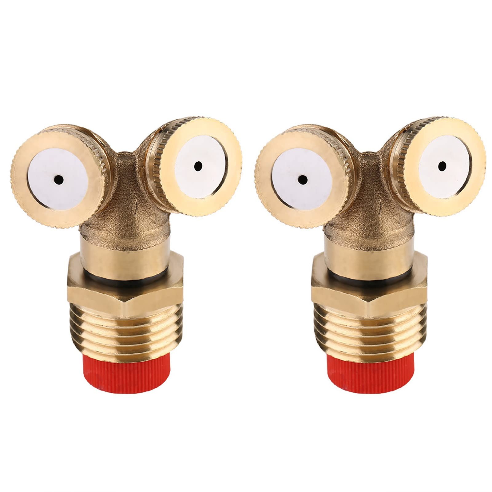 Picture 2