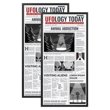 11x22 Newspaper Frame 2 Pack, Black 11x22 Frames for Horizontal or Vertical W...