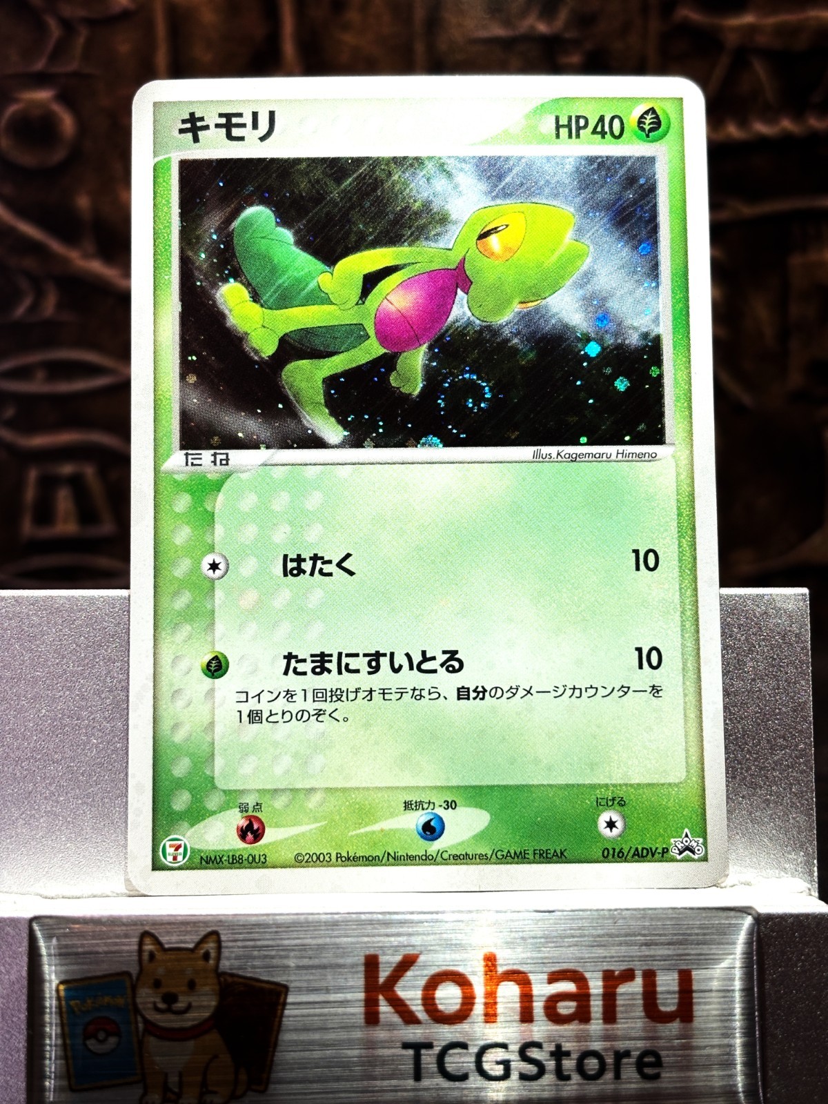 Pokemon Treecko 016/ADV-P 7-11 Promo Japanese Nintendo Holo Swirl【NM-】