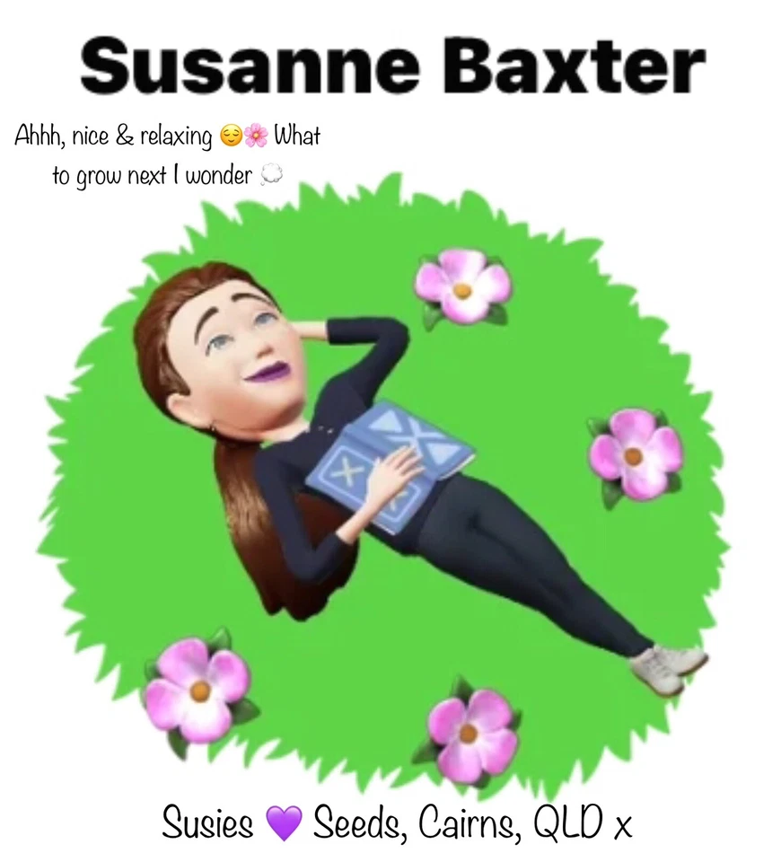 Zinnia (Molino Mix) 500+ Seeds. Instructions Included x - Image 3 of 4