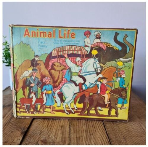 Vintage Children's Animal Zoo Pop-up Book, Bookano Zoo Animals in Fact - Picture 2 of 10