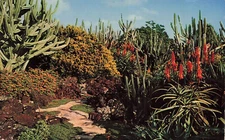 Postcard Moir's Pa'u-a-laka Gardens Koloa Kauai Hawaii