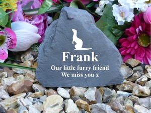 ferret memorial