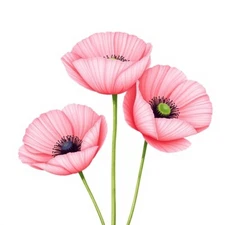 Digital picture floral  printable file