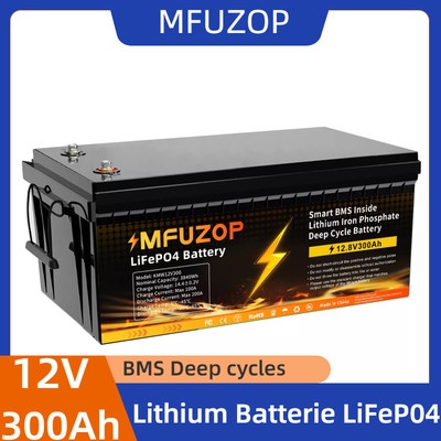 LiFePO4 Lithium Battery 12V 100Ah 200Ah 300Ah Deep Cycle for Solar Off-grid lot