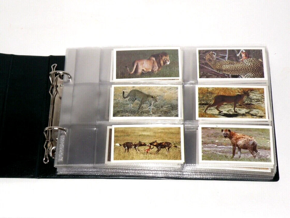 10x EXCELLENT CIGARETTE TOBACCO CARD SETS in NOSTALGIA COLLECTORS BINDER (UN09) - Image 2 of 4