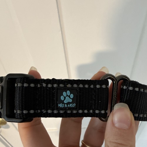 Max & Neo Adjustable Reflective Nylon Black Standard Dog Collar