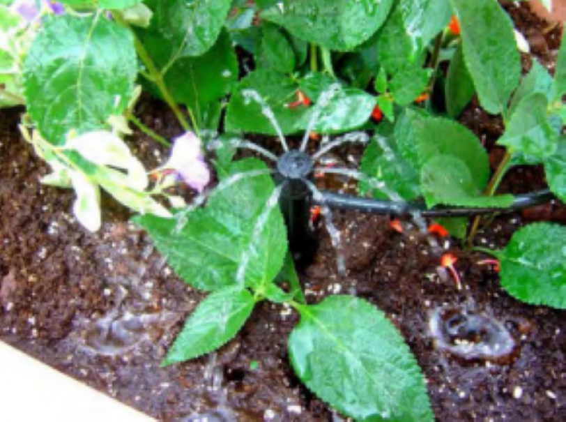 Bubbler SPIDER 360 Confezione 5 Pezzi Rain 695.0431000