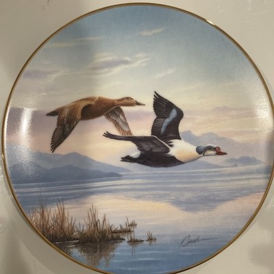 Flying In: King Eider Ducks'' by artist Darrell Bush