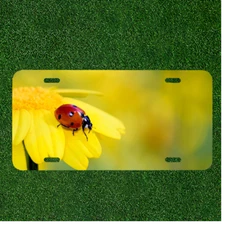 Creative License Plate Auto Tag With Lady Bug On Bright Yellow Flower Amazing