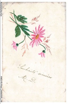 AWOP5-0341-FLEUR - Herzliche Wünsche - Marguerite
