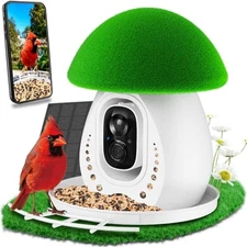 Metal Smart Bird Feeder with Camera,Solar Powered Camera Bird Feeders for 