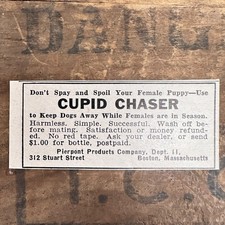 1941 CUPID CHASER Dog Supplements Vintage Print Ad Pierpont Products Boston MA