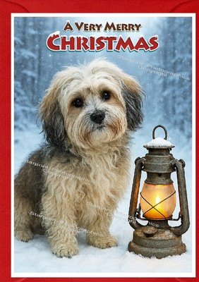 Weihnachtskarte Havaneser Hund (4 Zoll x 6 Zoll) (innen leer) von Starprint