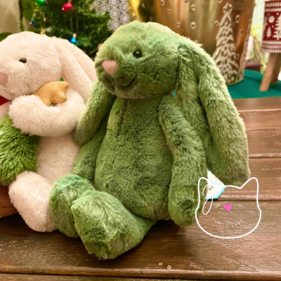 AUTHENTIC Jellycat BASHFUL IVY BUNNY Little RETIRED 2024 New BNWT