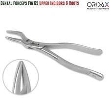 Pinzas para extracción de dientes Fig. 65 - Incisivos y raíz superior dental