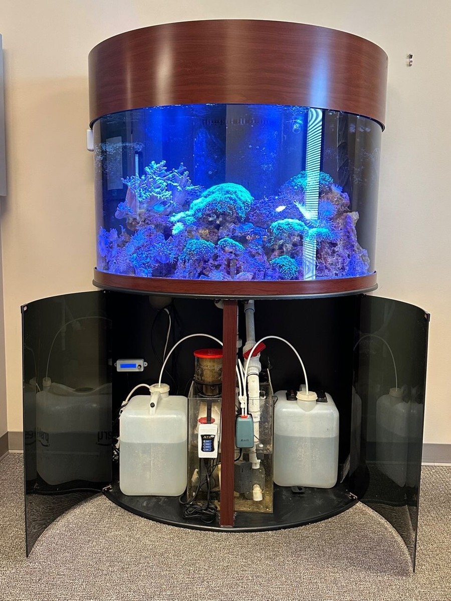 Exceptional Salt Water Reef Aquarium (1/2 cylinder curved glass