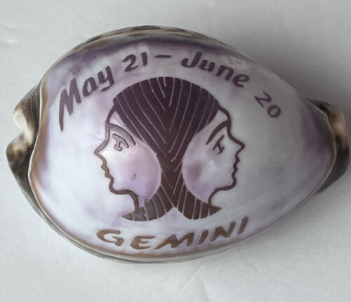 Vtg Zodiac Gemini Seashell Carved Cowrie Shell Twins Souvenir