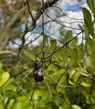 Metal Spiderweb Garden Ornament Sculpture Art - Wall Art Recycled Spider Insect