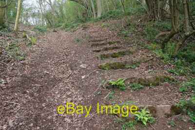 Photo 6x4 Obsolete Steps to Midsummer Hill Hollybush/SO7636 Looking up t c2008