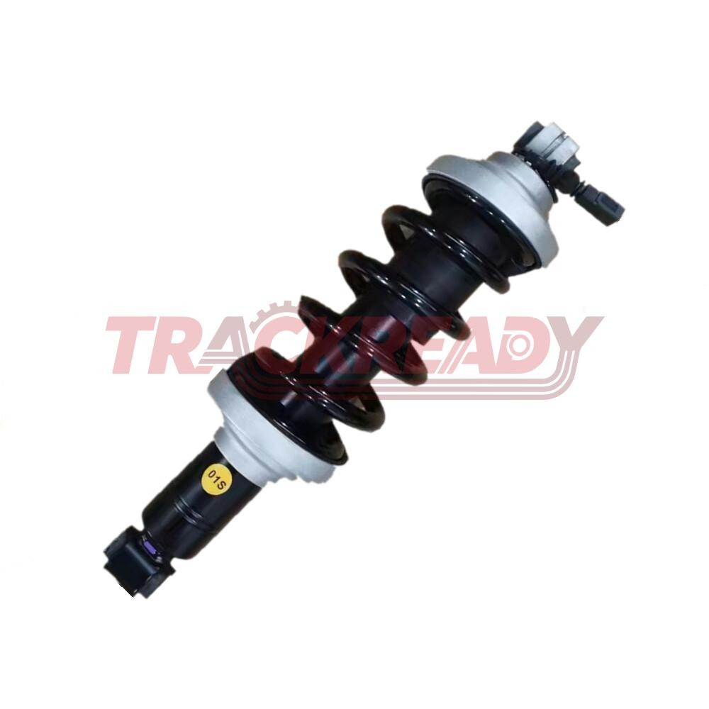 Audi R8 2016-2021 REAR Shock absorber P/N 85640963
