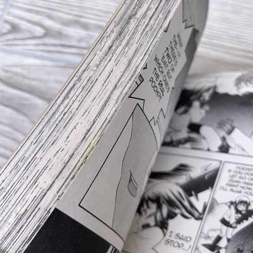 He Is My Master Manga Band 1-5 Englisch Komplettsatz, Erstdrucke *LESEN - Bild 10 von 10