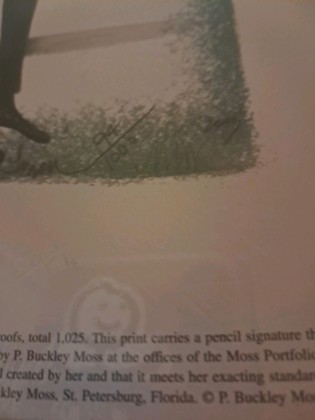 Picture 6 of 7