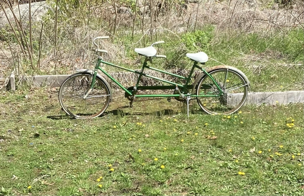 1960s Columbia Twosome (Accepting Offers) | eBay