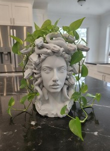 25+ Medusa Planter for sale | Updated Oct 2026