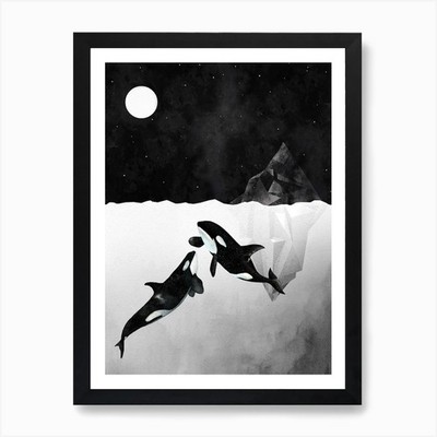Orca Druck, Killerwal Druck, Kil gerahmtes Wandbild Poster Leinwanddruck Bild