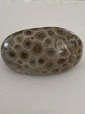 Polished Petoskey Stone 8.23oz