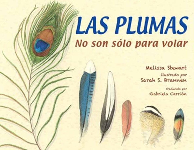 Las plumas by Melissa Stewart PAPERBACK (SPANISH) 9781623546014