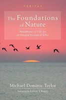 Michael Dominic Taylor | The Foundations Of Nature | Taschenbuch | Englisch