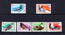 ROMANIA: 1981, PIGEONS, BIRDS,  MNH SET OF 6.