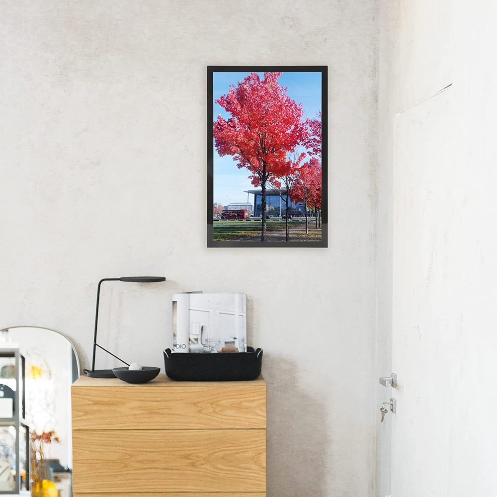 12x16 Inches Picture Frame Poster Frame For Pictures 12x16 With a Mat