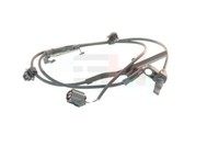 GH Sensor Raddrehzahl Vorderachse FüR Toyota RAV 4 IV _A4_ 2.5 Hybrid 2.2 D
