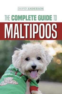 Complete guide to Maltipoos: Everyting you need to know before getting Maltipoo