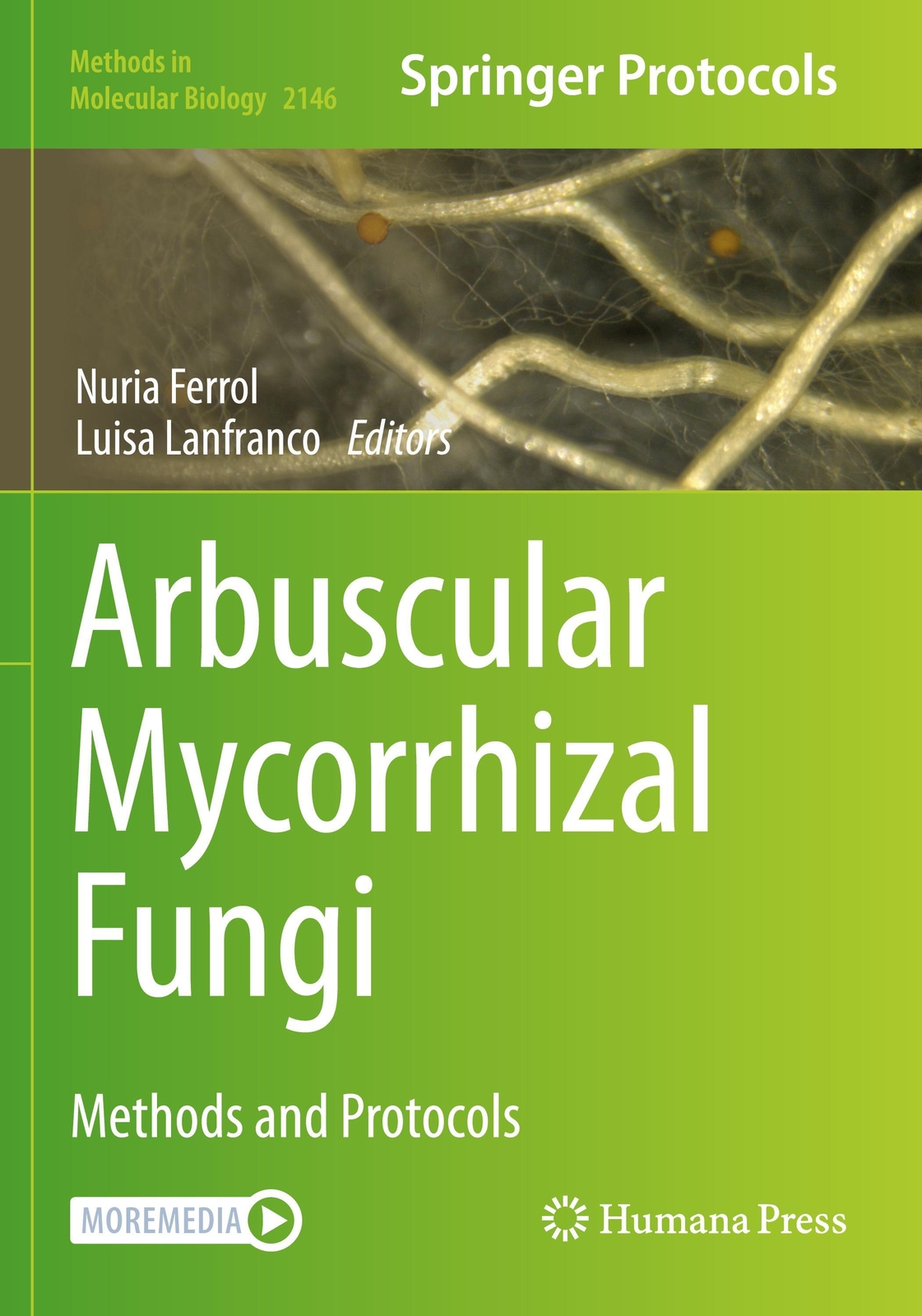 Thumbnail - Arbuscular Mycorrhizal Fungi | Luisa Lanfranco (u. A.) | Methods And