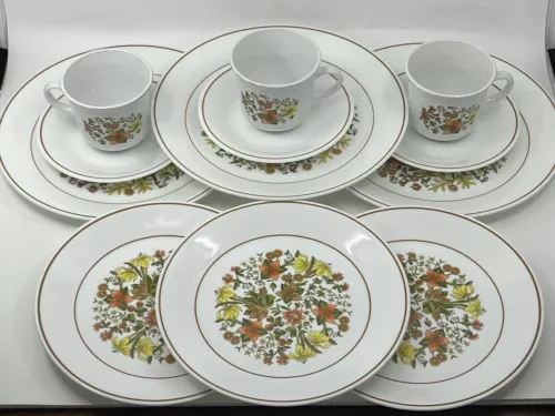 (12pc) Corelle INDIAN SUMMER Flowers Plates -3 Place Settings -EXCELLENT COND!