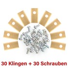 Bild 4 von 6