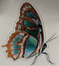 5 Kiss Cut Butterfly Decal Sticker Turquoise Copper UV Protection Auto Windows