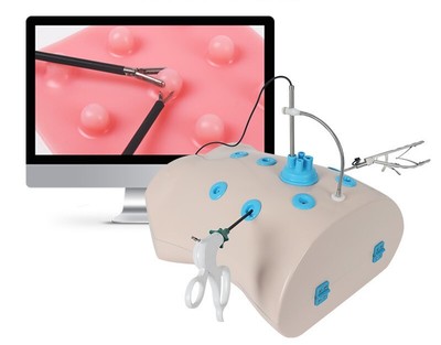 High-grade Laparoscopic simulation trainer Model