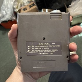 Werewolf The Last Warrior (NES Video Game)